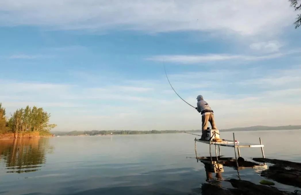 小鱼老往水面上跑怎么办,钓鱼怎么解决挡口问题
