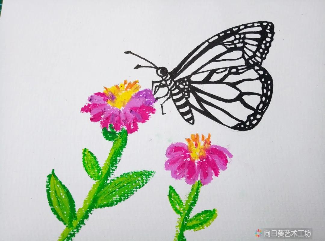 创意课漂亮的蝴蝶,创意美术课程蝴蝶