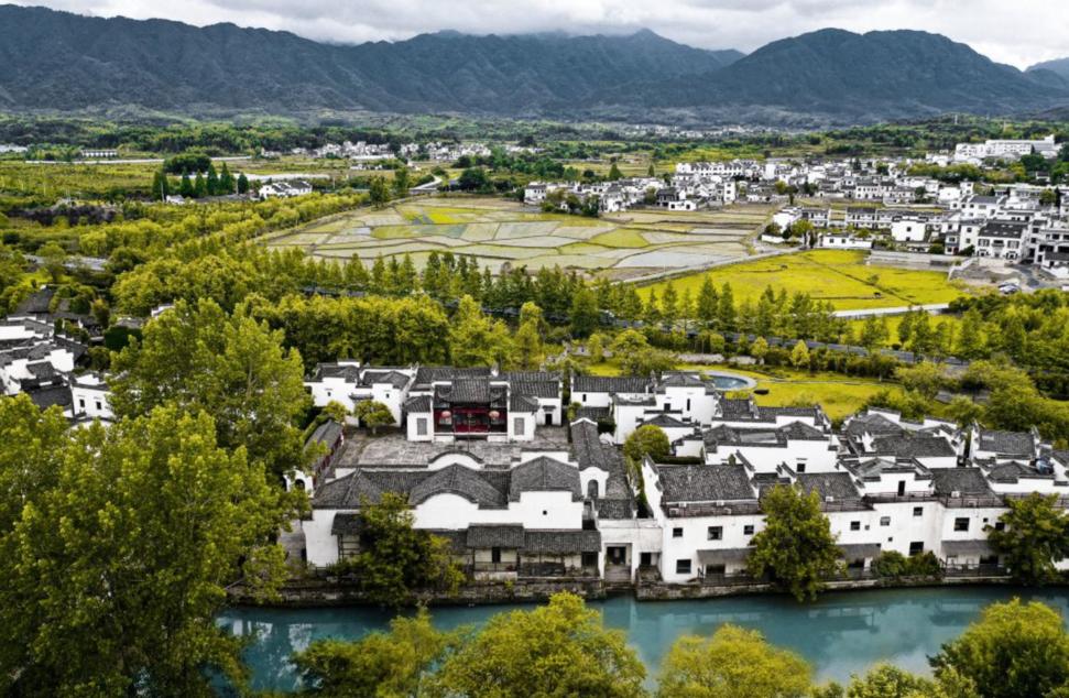 閰掑簵甯冭崏鍝佺墝鍗佸ぇ鎺掕,鍝佺墝閰掑簵鎺掕姒滃墠鍗佸悕