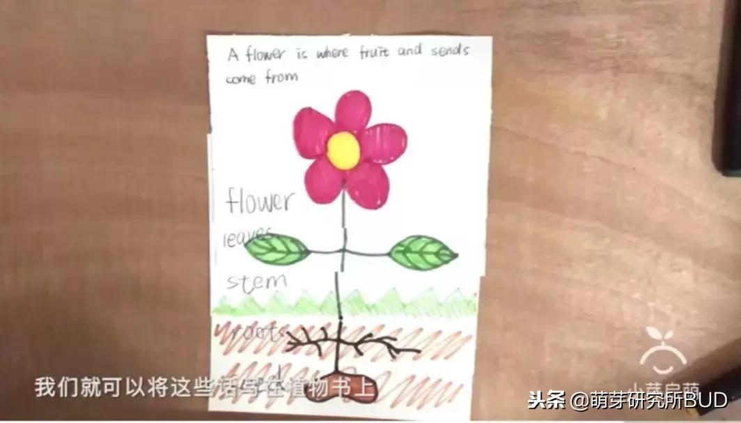 用身边的东西创艺术,用身边常见的物品创造出令人惊喜