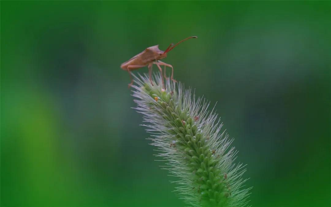 一次把寒气说清楚短句,把寒气传递给每个人的体会
