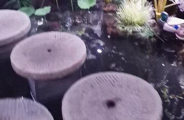 瞒不住了，孙悟空来聊城了，还带着“花果山”