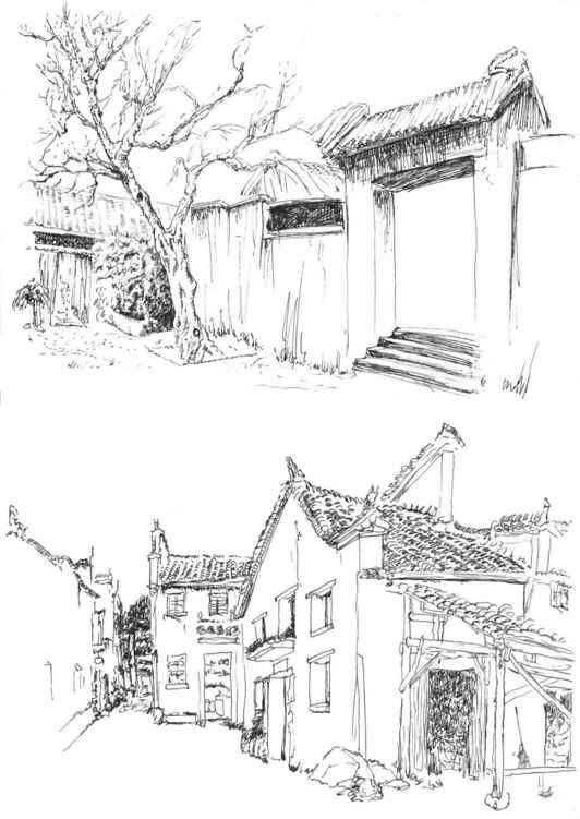 速写风景初学者入门教程,速写风景初学者入门教程植物