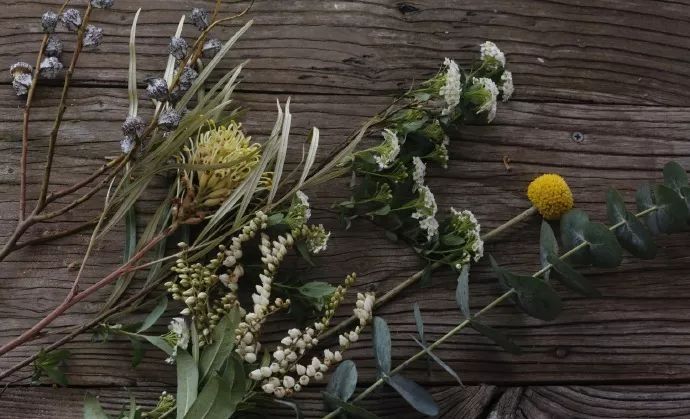 她辞去总监回家扶贫后续,她辞去总监回家扶贫结局