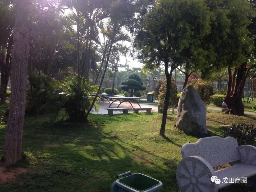 成田文体公园国庆,成田镇文体公园