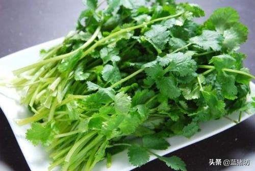 六个月宝宝除了米粉可以吃什么,六个月宝宝除了米粉还能吃什么