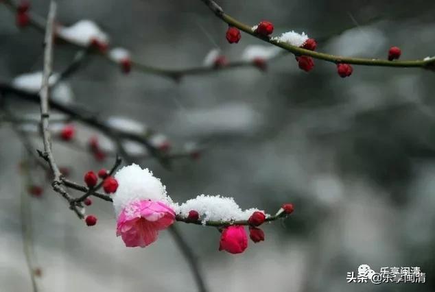 在闽清也有古代著名诗人的他就是南宋诗人——萧德藻