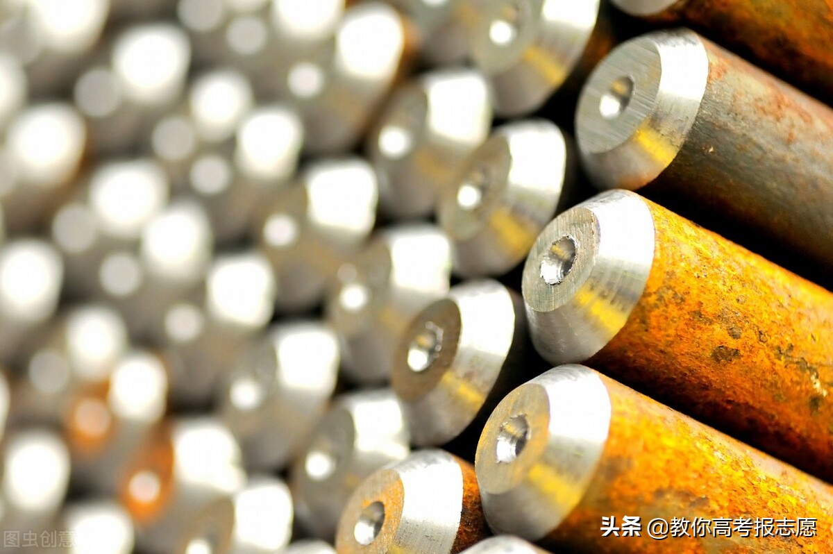 上海大学高薪专业,上海大学生物科学专业就业前景