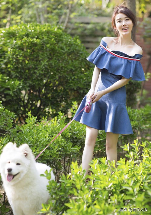 如何在家训练宠物狗犬不咬人,主人不在家如何训狗