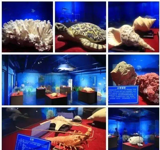 惠州巽寮湾海边小众酒店民宿,惠州巽寮湾单独无边泳池酒店