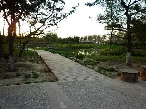 北京这38个森林公园您先收藏了!定个小目标,有空儿玩个遍!