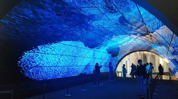 广州金逸影城,广州塔金逸空中电影城