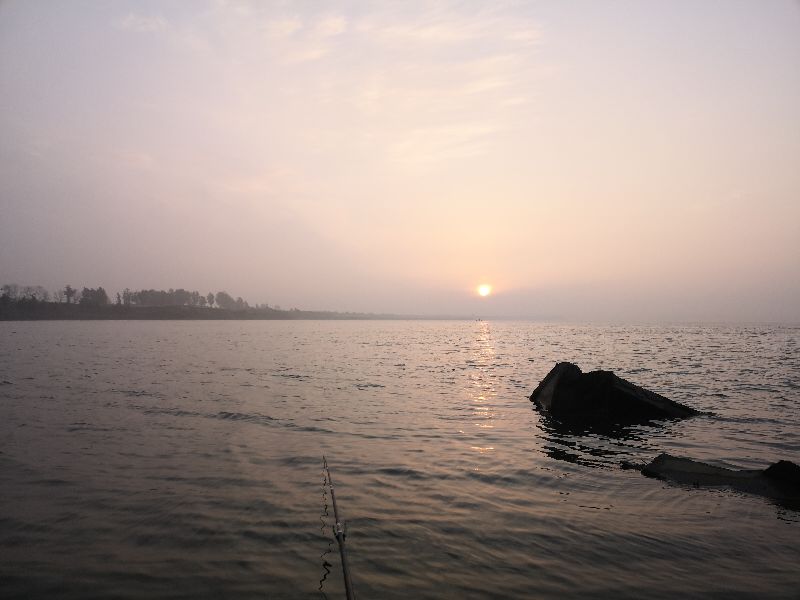 一味ex全能战比较,一味ex实测