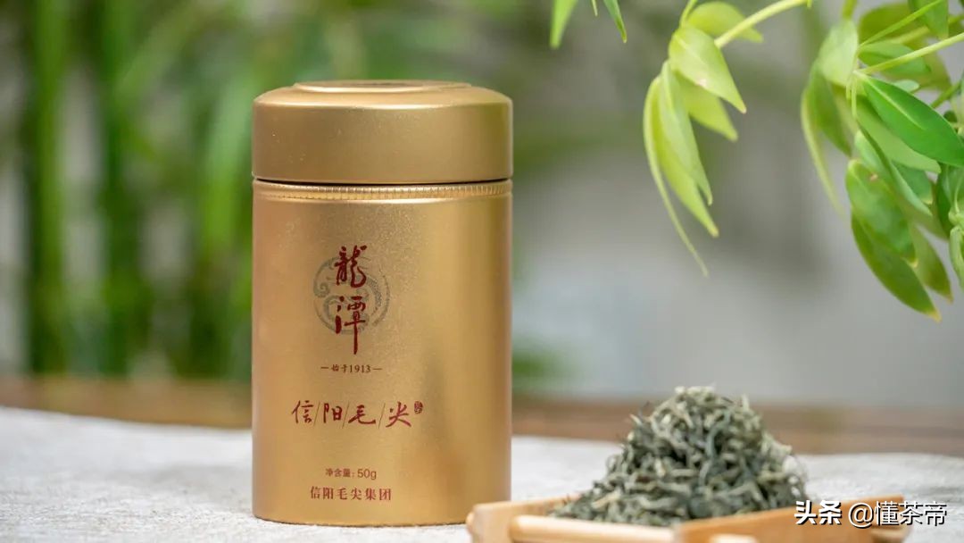 信阳毛尖绿茶测评,信阳毛尖评测