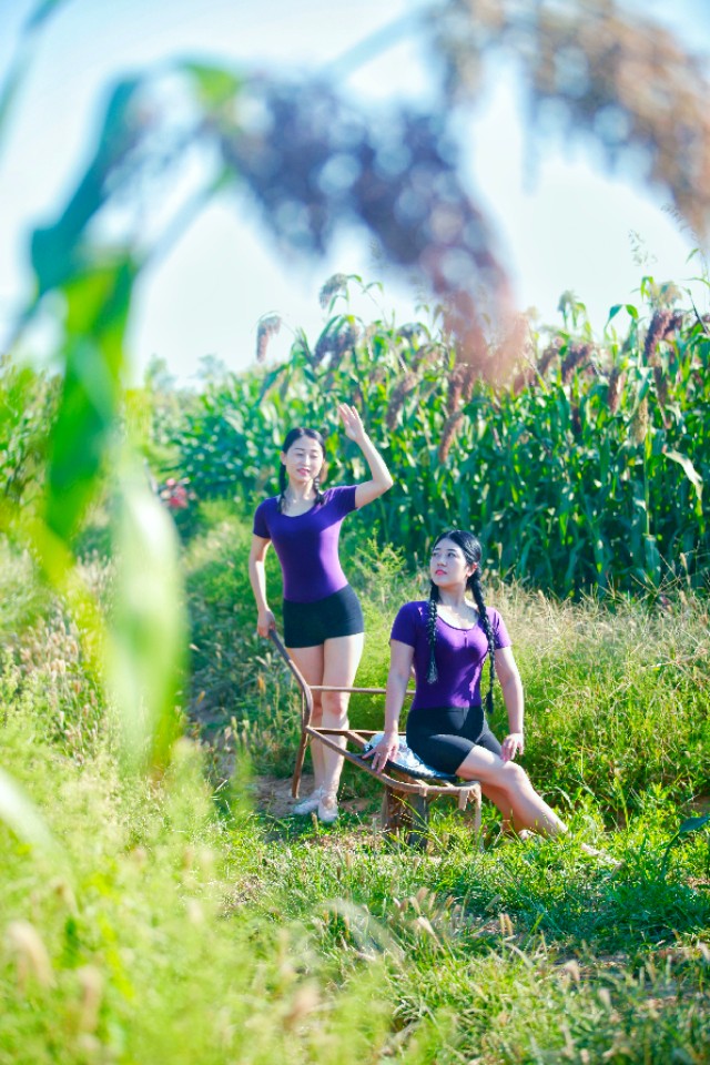 陕州区张茅乡：5000亩高粱红了,好似无际飘来的晚霞