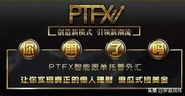 伪金融PT千亿巨骗东窗事发,百余万会员彻夜难眠,血流成河