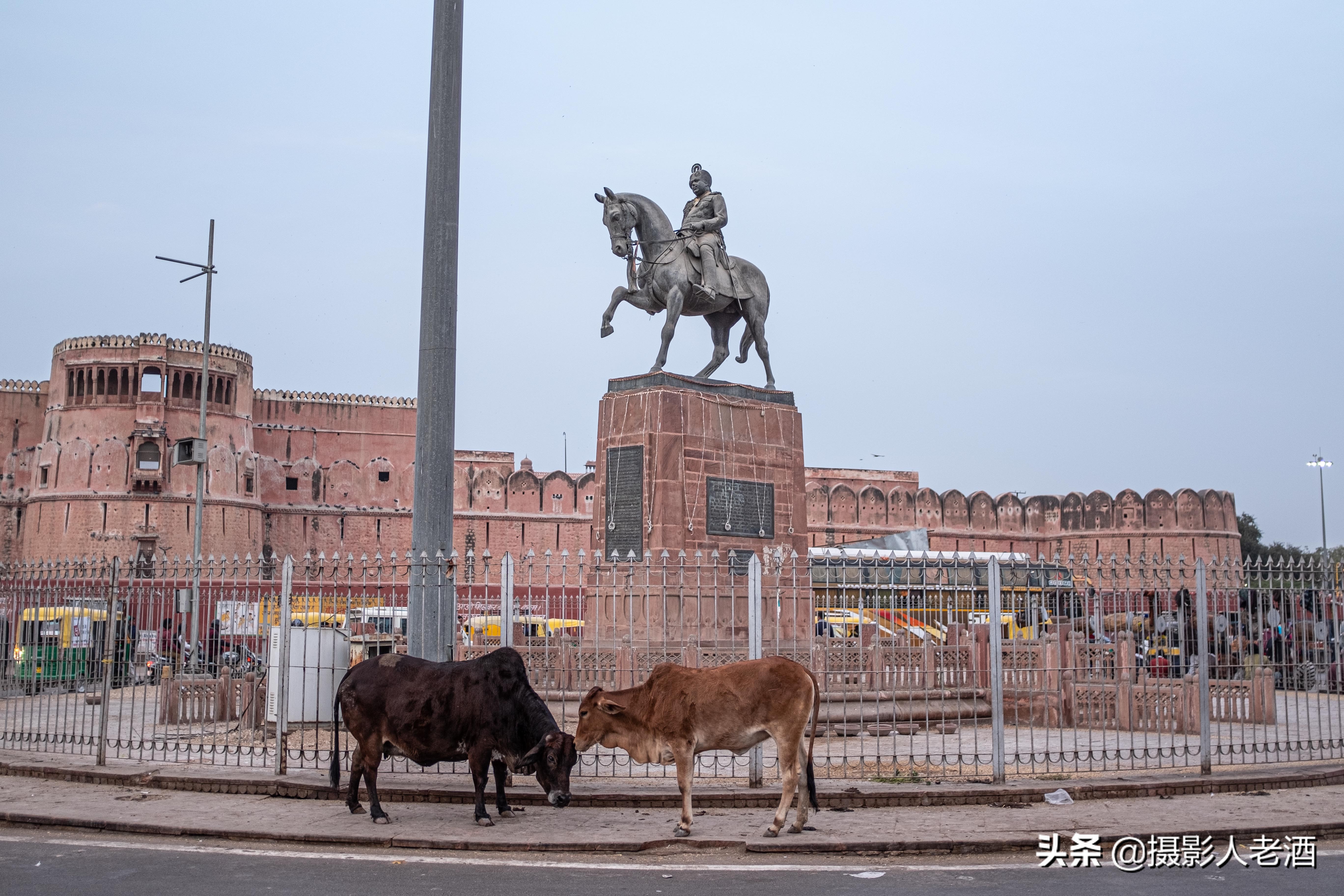 印度的印度教人吃牛肉吗,印度为什么不吃牛肉的地理原因