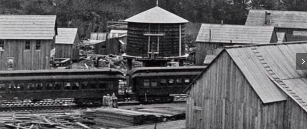 唐纳德特朗普家世,唐纳德特朗普一生经历