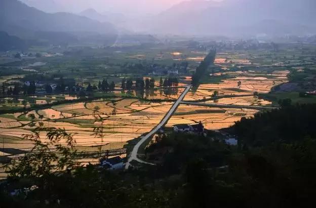 安徽春天去哪看花,安徽春天赏花攻略景点推荐