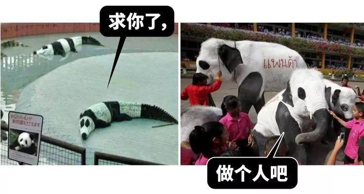 围观中国网红神兽羞羞视频，这是什么特殊爱好？