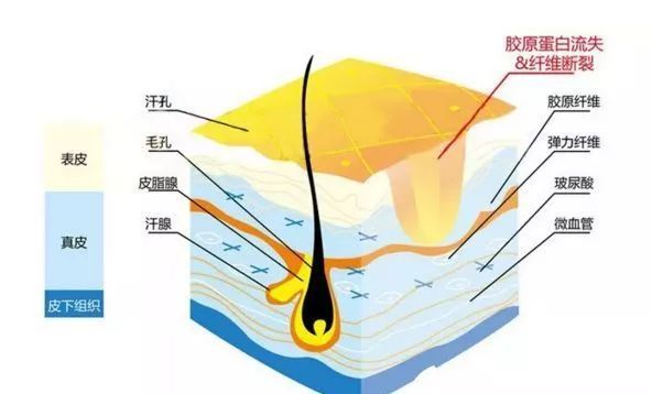 敏感肌的小仙女80%都是被它坑的