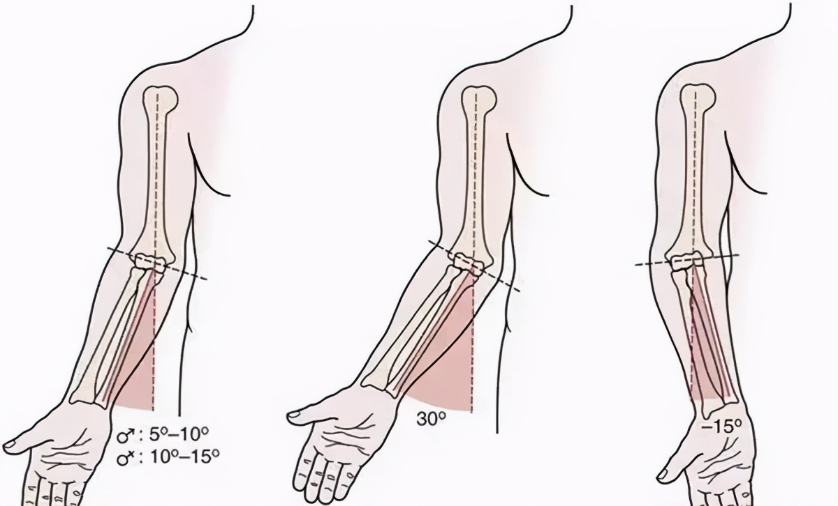 这个小伙子，胳膊肘真是往外拐的......