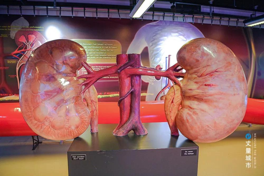 「科普」也疯狂——三个超酷的儿童活动场馆