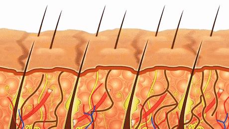 敏感肌护肤日记,敏感肌的护肤日记