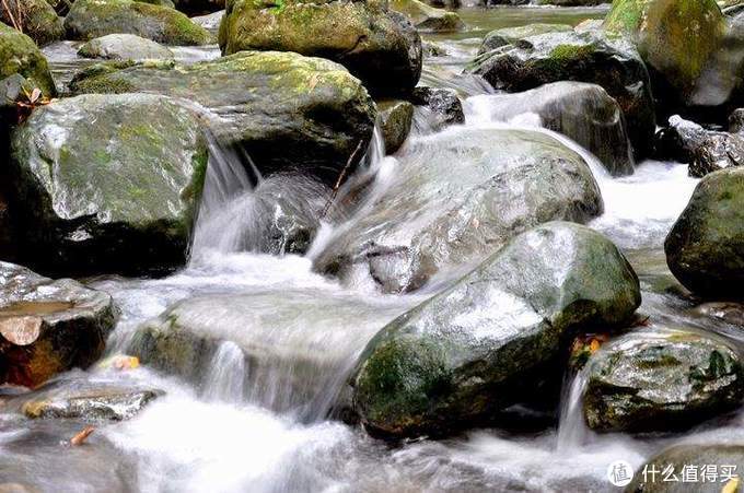 用茶壶泡所有茶的技巧,怎样用茶具沏好一壶茶