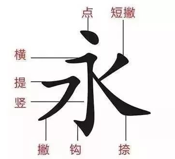 权威专家教你正确的字的笔顺方法,权威专家分享汉字正确的笔顺技巧
