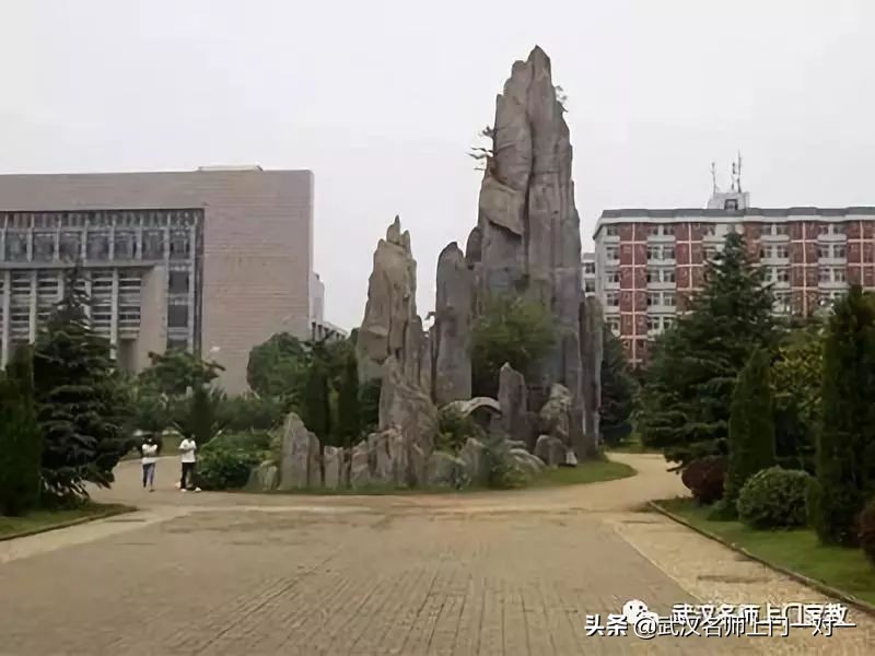 武汉新开国际学校,武汉十九中学怎么样