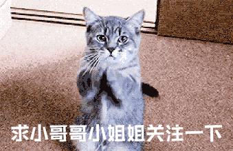 笑死我了的朋友圈,朋友圈里的微商代购