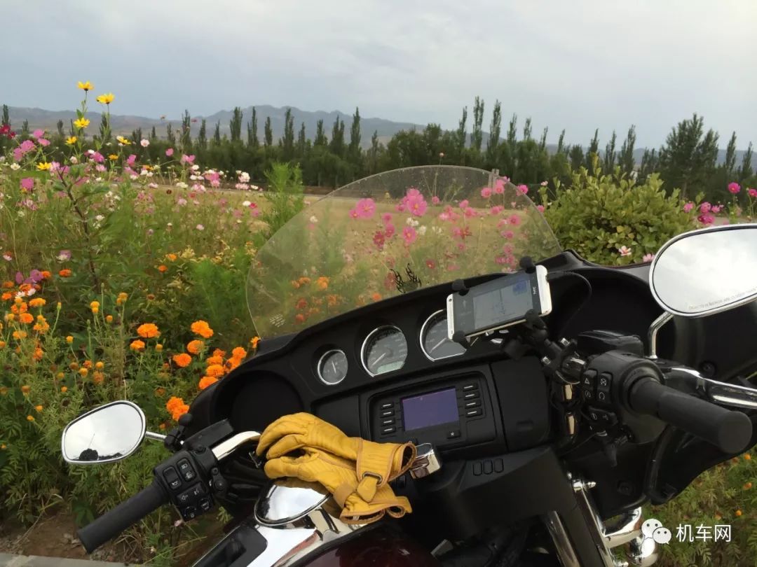 心惊肉跳完整版,心惊肉跳完整视频