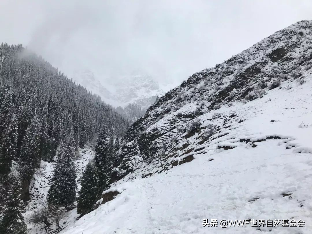 如何正确的品味一首歌,如何品味咖啡更美味