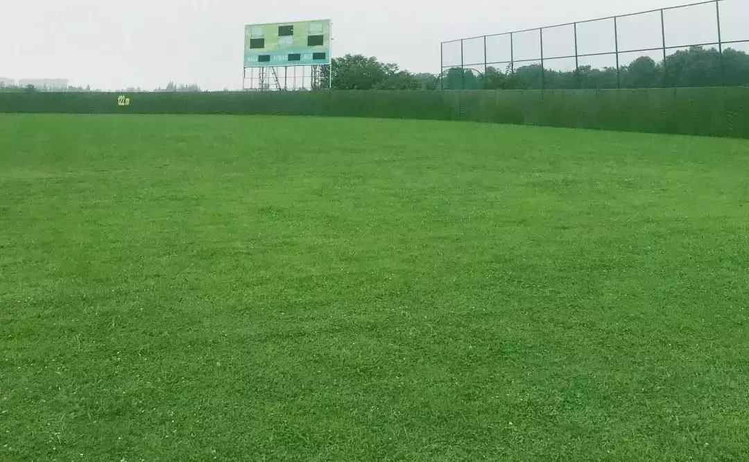 成都世警会比赛场地和时间安排,成都世警会赛程安排