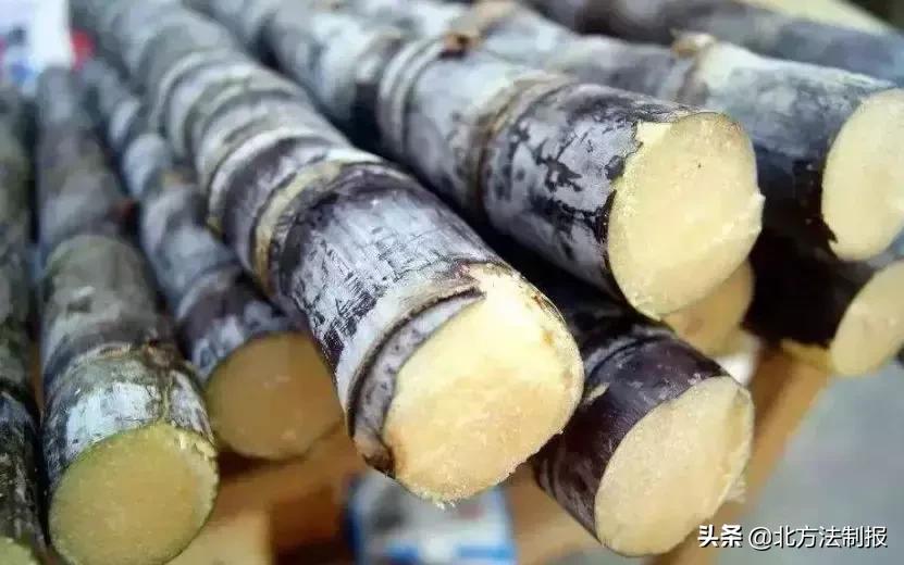 比毒蛇还毒100倍的食物,比毒蛇还毒清明前后切忌别吃