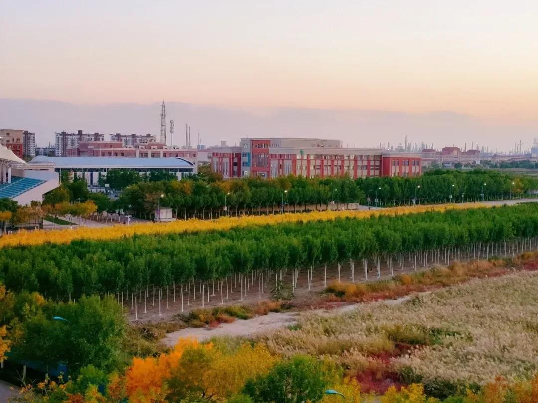 南开大学滨海学院天津排名,天津曾经的滨海学院