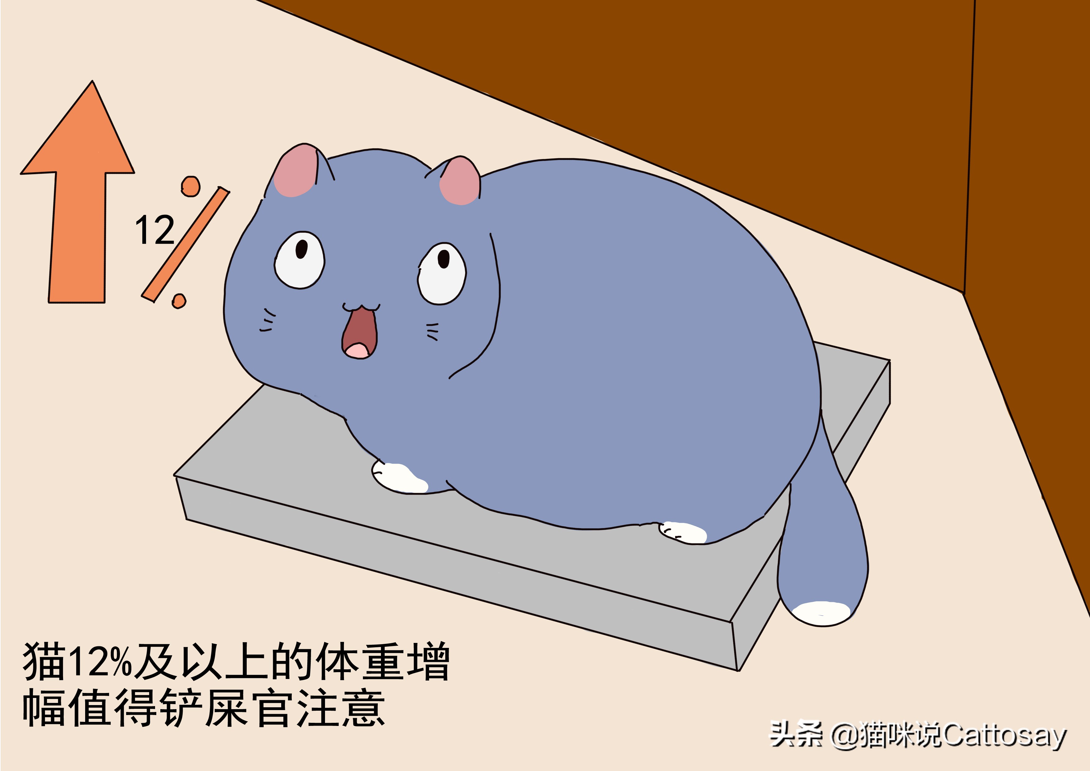 猫咪很瘦怎么办如何帮助猫咪减肥,猫太胖了怎么办该怎么给猫咪减肥