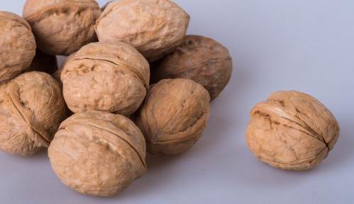 磁山文化核桃,走进磁山文化博物馆