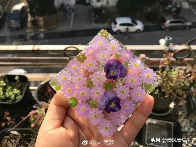 冻冰花美篇,冻冰花的美篇