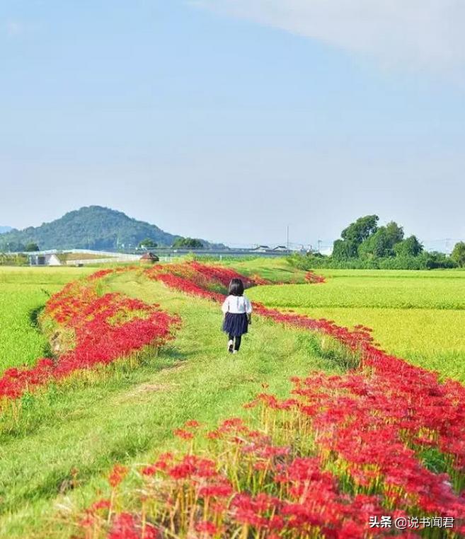 日本女孩为什么这么精致,日本女生的精致感