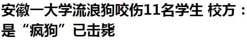 大学生在宿舍养猪被通报批评,大学生宿舍养宠物要处分吗
