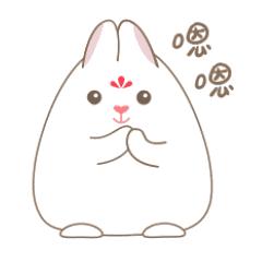 怎样才能养成不长痘痘体质,怎样才能养成不长痘痘的肤质