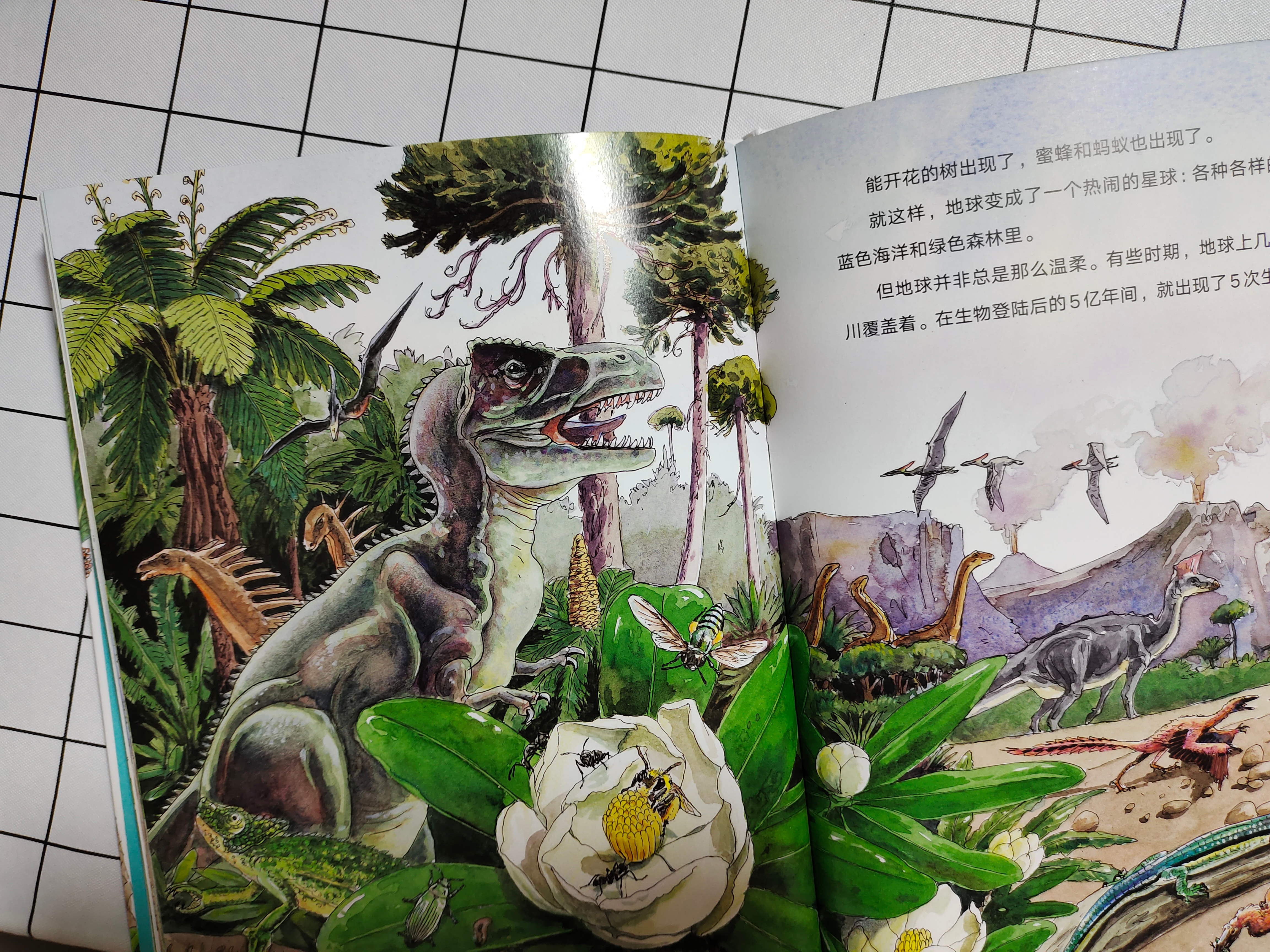 恐龙百科全书恐龙世界的无穷奥秘,世界上最全的恐龙百科全书