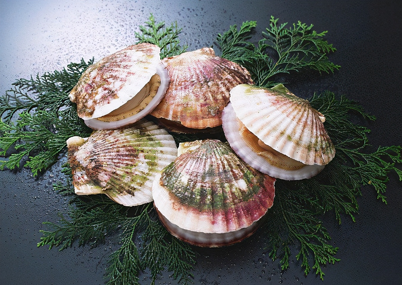 秦皇岛户外探险,秦皇岛旅游攻略最新版