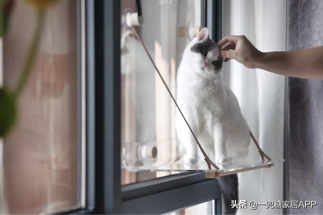 瀹跺眳鏀剁撼濂界墿鎺ㄨ崘鐪侀挶,瀹跺眳鏀剁撼濂界墿鎺ㄨ崘鍓嶅崄