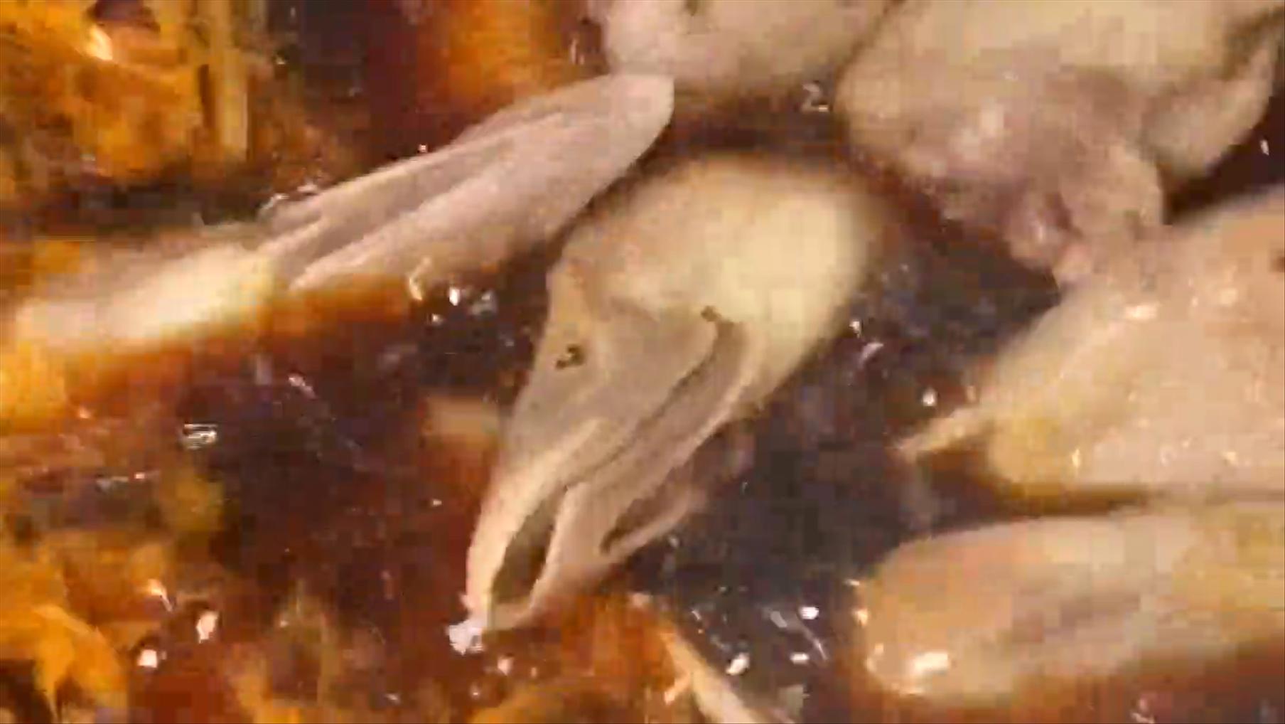 卤水鸭头怎么卤才好吃,简单卤水鸭头做法