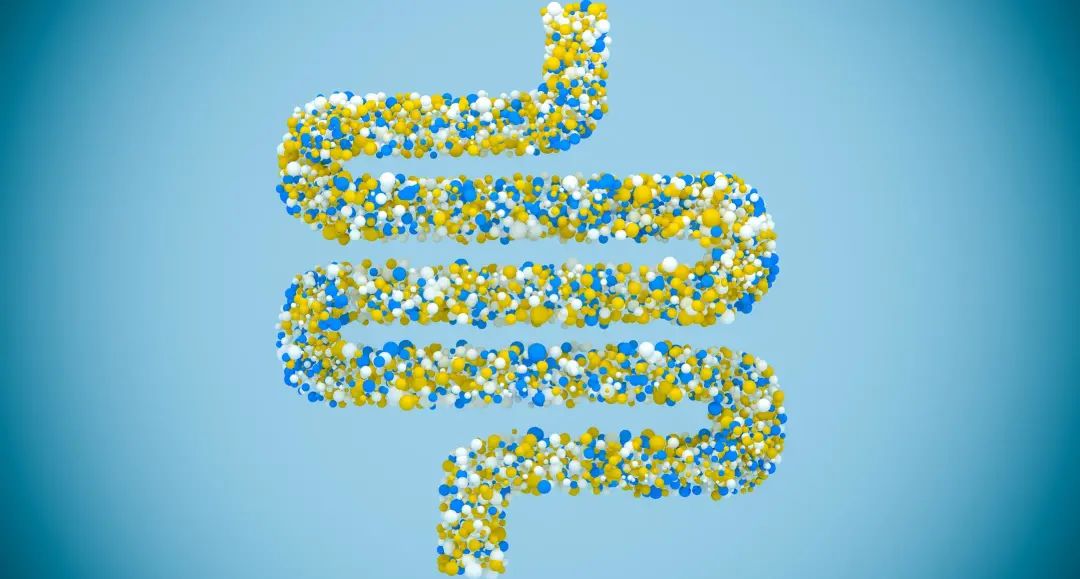 健身如何避免蛋白屁,健身蛋白屁怎么解决