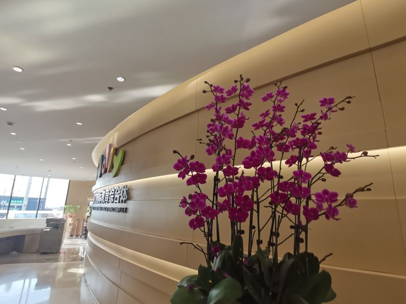 九力国际教育综合体夜景,九力国际教育综合体广告