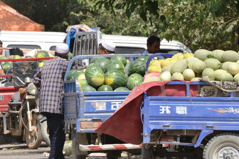 买西瓜老是买到坏的,怎么挑选西瓜又熟又甜的品种